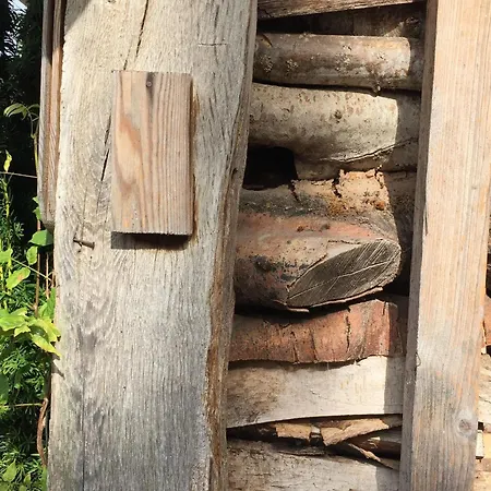 Spacieux Avec Piscine Et Terrasse En Village - Fr-1-589-637