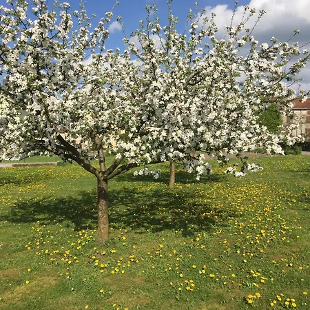 Casa vacanze Spacieux Avec Piscine Et Terrasse En Village - Fr-1-589-637 Hennecourt